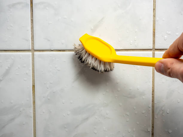 Best Professional Mold Removal  in Osceola, IN